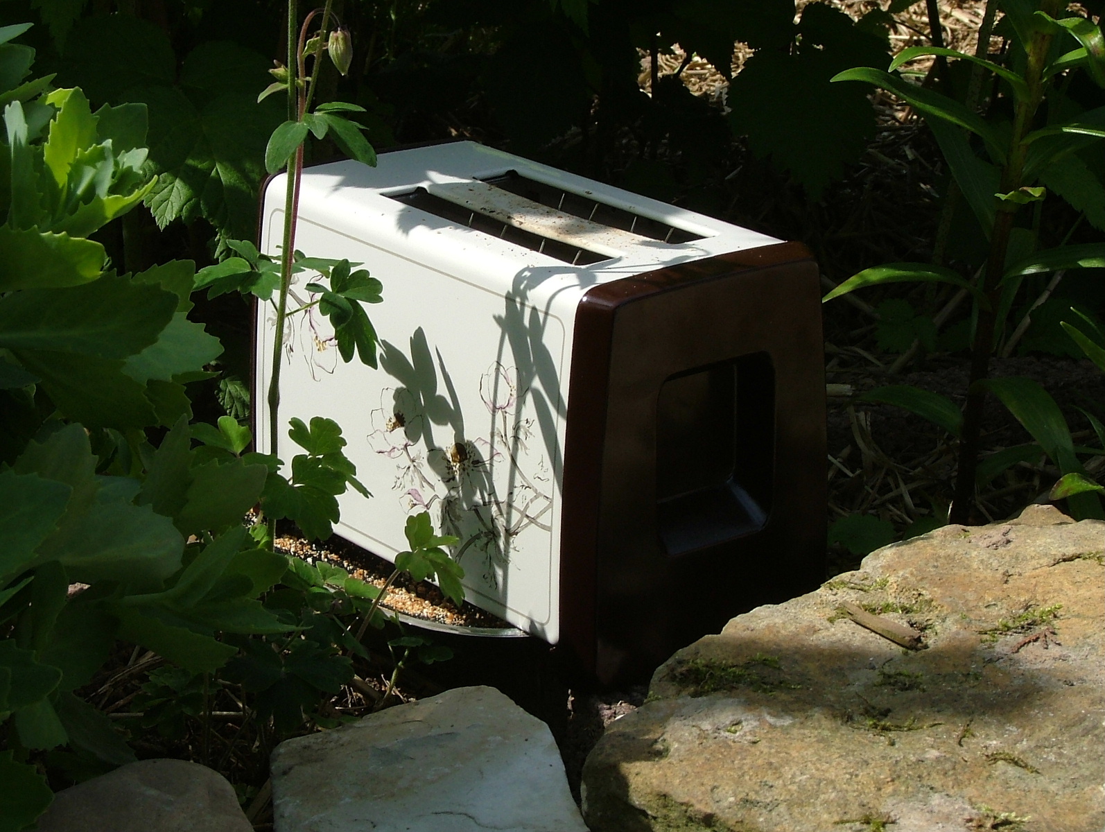 ein Toaster steht auf der Erde unter Blättern